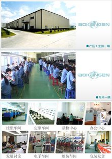 奧康恩的電子商務經營之道 創新、整合與可持續發展